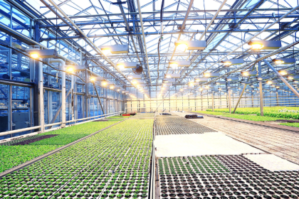 Christian Zini Amorim